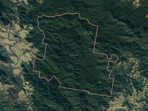 Dingo Forest - Rental Cars 0