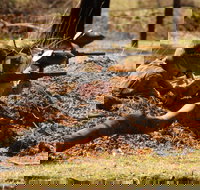 Freycinet Paintball and Campground - Rental Cars