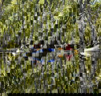 Murray River canoe trails - Rental Cars