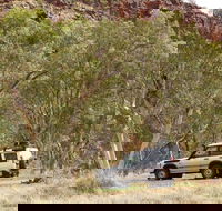 Owen Springs Reserve - Rental Cars