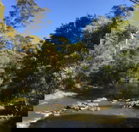 Pipers River Board Walk - Rental Cars