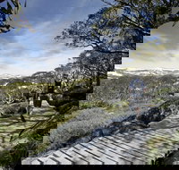 Snow Gums boardwalk - Rental Cars