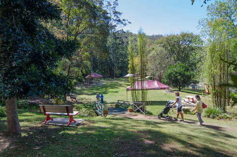 Spring Bluff Railway Station - Rental Cars 2