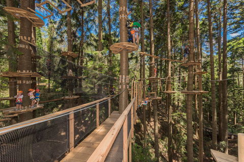 TreeTops Sydney The Hills - Rental Cars 0