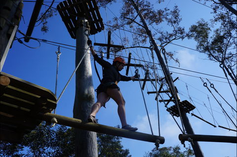 Trees Adventure Nowra Park - Rental Cars 0