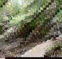 Upper Yarra Reservoir Park - Rental Cars