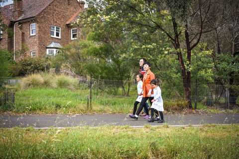 Westerfolds Park - Rental Cars 2