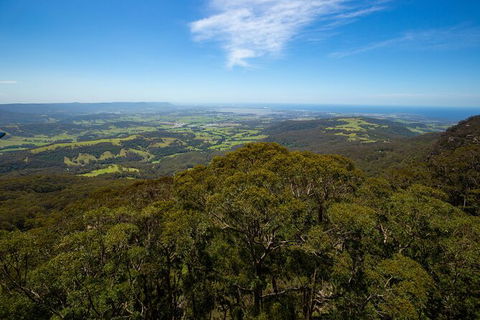 Illawarra Fly Treetop Adventures Treetop Walk Admission Ticket - Rental Cars 6