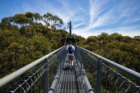 Illawarra Fly Treetop Adventures Treetop Walk Admission Ticket - Rental Cars 0