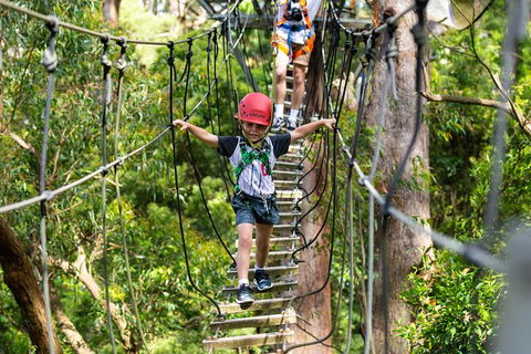Illawarra Fly Treetop Adventures Treetop Walk Admission Ticket - Rental Cars 3