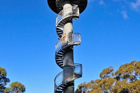 Illawarra Fly Treetop Adventures Treetop Walk Admission Ticket - Rental Cars 5