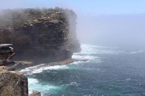 Iconic Sights Of Sydney Tour With FREE Photography Package - Rental Cars 3