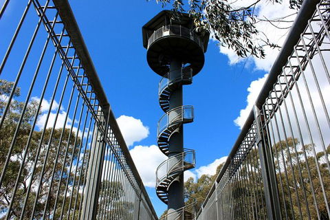 Illawarra Fly Treetop Adventures Admission Including Zipline Tour - Rental Cars 3