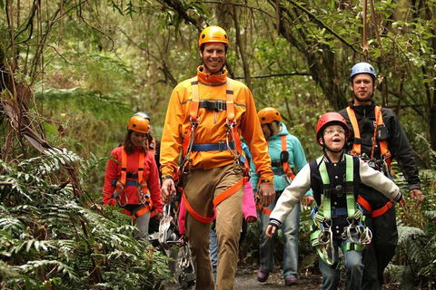 Illawarra Fly Treetop Adventures Admission Including Zipline Tour - Rental Cars 1