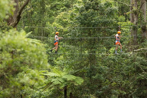 Illawarra Fly Treetop Adventures Admission Including Zipline Tour - Rental Cars 0