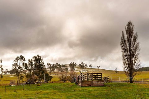 Paddock To Plate Farm Tour And Tasting - Rental Cars 0
