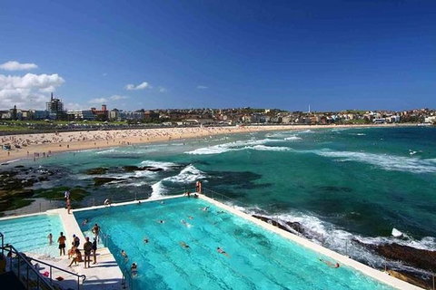 Private Sydney City & Bondi Beach Half Day Tour - Rental Cars 2