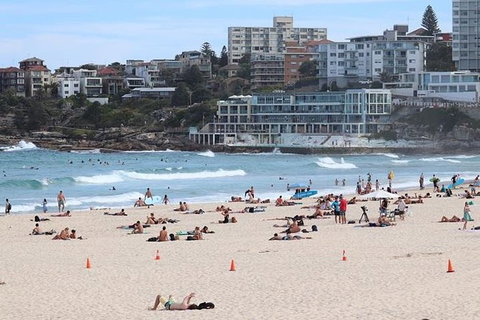 Private Sydney City & Bondi Beach Half Day Tour - Rental Cars 3