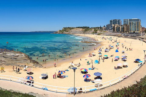 Newcastle Scenic Explorer - 2 Hour Tour By Minibus - Rental Cars 16