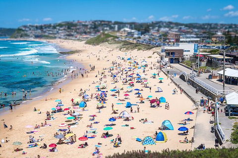 Newcastle Scenic Explorer - 2 Hour Tour By Minibus - Rental Cars 6