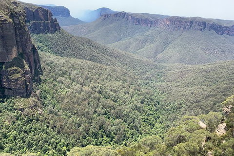 Blue Mountains Private Bus Tour From Sydney, Plus Featherdale Aussie Animal Park - Rental Cars 3