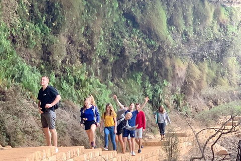 Blue Mountains Private Bus Tour From Sydney, Plus Featherdale Aussie Animal Park - Rental Cars 7