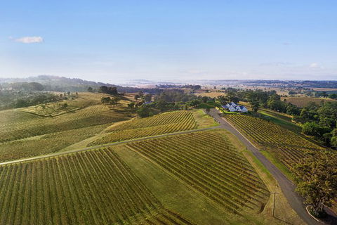Audrey Wilkinson Vineyard: Fromage And Fortified Wine Experience - Rental Cars 1