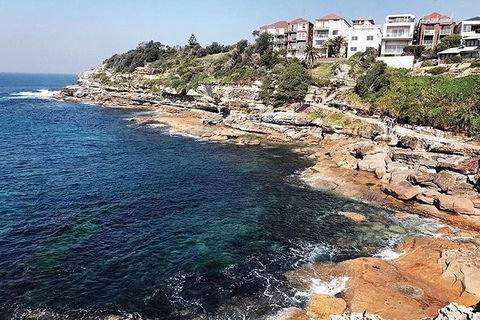 Sydney With Bondi And Beaches Essentials Private Day Tour - Rental Cars 1