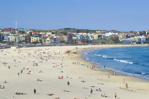 Sydney With Bondi And Beaches Essentials Private Day Tour - Rental Cars 2