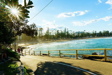 Sydney With Bondi And Beaches Essentials Private Day Tour - Rental Cars 8