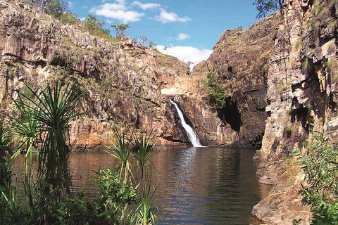 Kakadu, Katherine & Litchfield Adventure - Rental Cars 1
