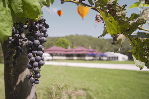 Hot Air Ballooning Including Champagne Breakfast From The Gold Coast - Rental Cars 2