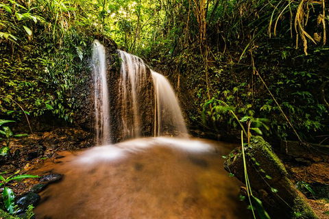 Paronella Park Admission Ticket - Rental Cars 4