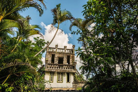 Paronella Park Admission Ticket - Rental Cars 5