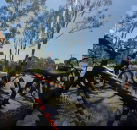 Noosa Hinterland Scenic FAT Bike  Abseil Tour