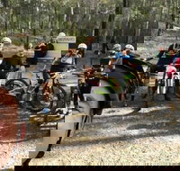 Gold Coast Mountain Bike Tour