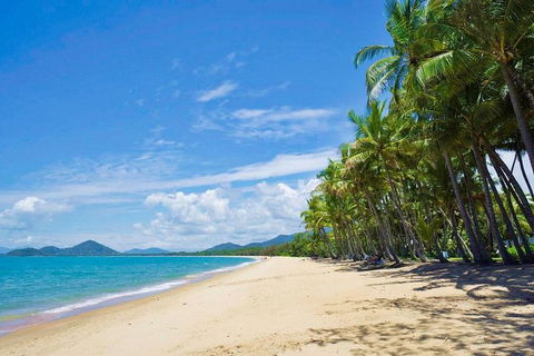 Airport Transfer - Cairns Airport To Palm Cove, Kewarra & Trinity Beaches - Rental Cars 4