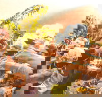 Mt Tamborine Winery Tour - Local Pickup