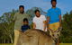 Kangaroo Watching & Koala Spotting - Private Tour - thumb 0