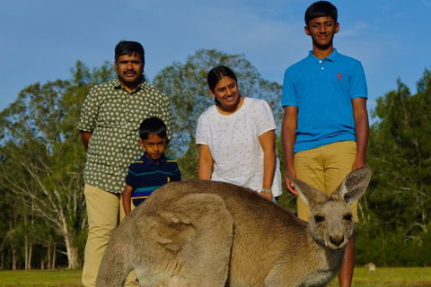 Kangaroo Watching & Koala Spotting - Private Tour - Rental Cars 0