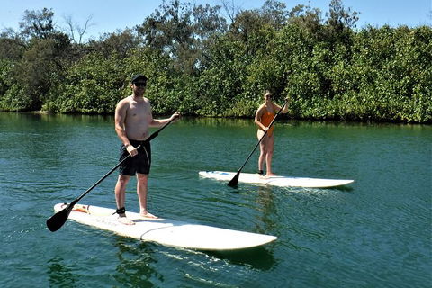Paddle Board Hire In Surfers Paradise - Rental Cars 2