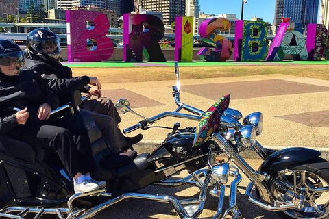 Unique Vehicle Tour Around Brisbane - Rental Cars 3