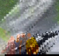 Full-Day Guided Sightseeing Tour of the Gold Coast Waterfalls