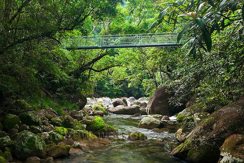 SHUTTLE - Mossman Gorge & Cooya Beach From Port Douglas (Return Transfer) - Rental Cars 4