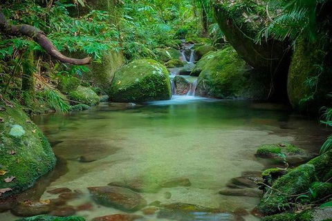 SHUTTLE - Mossman Gorge & Cooya Beach From Port Douglas (Return Transfer) - Rental Cars 2
