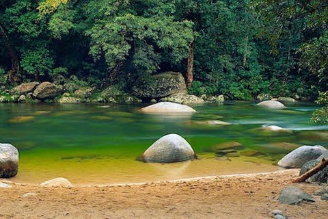 SHUTTLE - Mossman Gorge & Cooya Beach From Port Douglas (Return Transfer) - Rental Cars 1