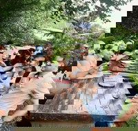 Full-Day Tamborine Guided Wine and Distillery Tour with Lunch