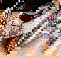 Small-Group Gin Masterclass in Gold Coast