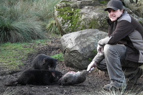 After Dark Tasmanian Devil Feeding Tour At Cradle Mountain - Rental Cars 0