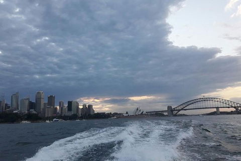 Sydney&Melbourne City Lovers- 2 Day Combo Private Tour! - Rental Cars 1